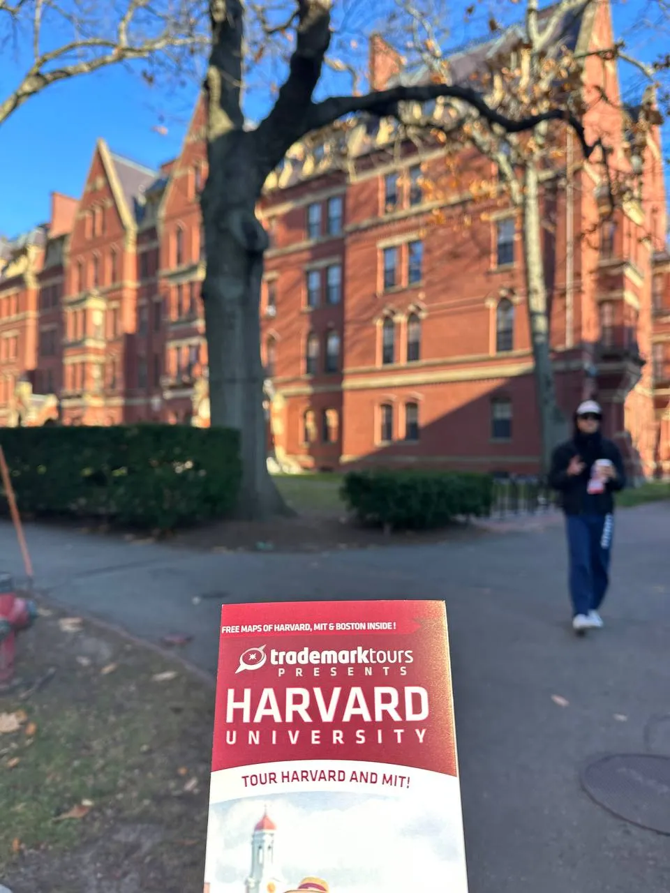 Harvard Acceleration.webp